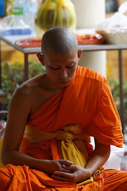 Talin chan-NOV13-130